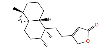 Dytesinin B